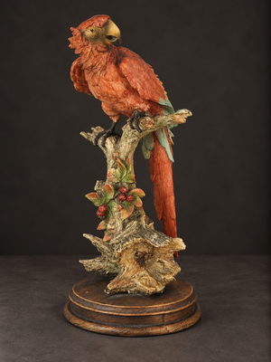 Escultura  "Guacamaya" de Giuseppe Armani. Porcelana cold-cast. Italia. Ca. 1980-1990. Vintage.
