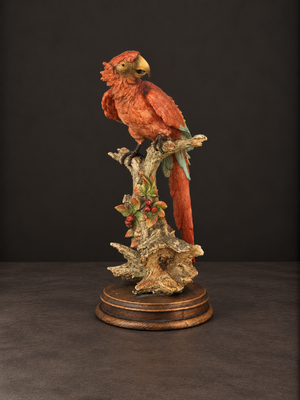 Escultura "Guacamaya" de Giuseppe Armani. Porcelana cold-cast. Italia. Ca. 1980-1990. Vintage.