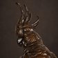 Patinated bronze macaw sculpture. 20th century. Carl Kauba. Vintage.