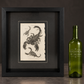 Scorpion print. 1809. Recent frame. Antique.