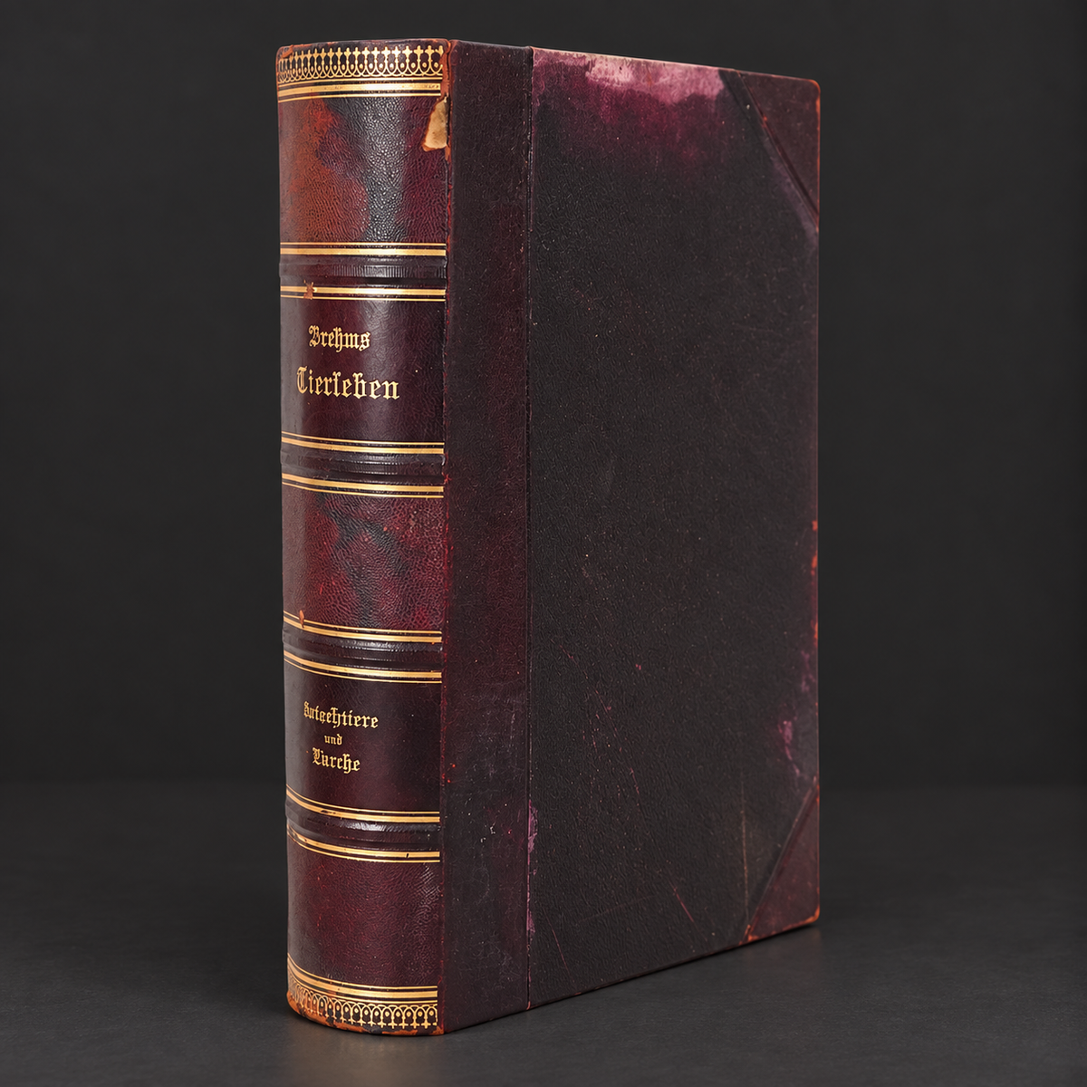 Book "Brehms Tierleben" (Brehm's Life of Animals), Volume VII, by Alfred Edmund Brehm. 1893. In German. Antique. Illustrated. Shows signs of age.