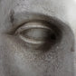 Escultura Cabeza de Apolo con base de mármol S XX