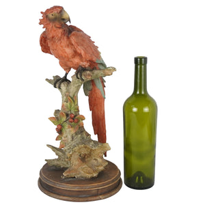 Escultura  "Guacamaya" de Giuseppe Armani. Porcelana cold-cast. Italia. Ca. 1980-1990. Vintage.