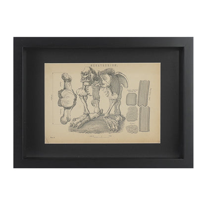 Engraving of a Megatherium. London. 1875. Recent frame. Antique.