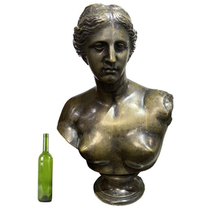 Busto Venus de Milo en bronce patinado. Mediados del siglo XX. Base de bronce integrada. Vintage.
