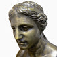 Busto Venus de Milo en bronce patinado. Mediados del siglo XX. Base de bronce integrada. Vintage.