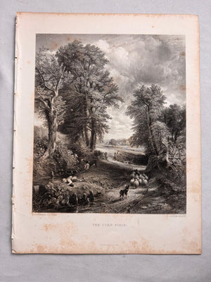 Grabado "The corn field" del libro "Tesoros de Inglaterra" de J. Vernon Whitaker, USA. Año 1881. Antiguo. Marco reciente.