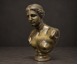 Busto Venus de Milo en bronce patinado. Mediados del siglo XX. Base de bronce integrada. Vintage.