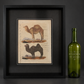 Engraving of camels (Buffon/Smellie). Printed by Richard Evans, London. 1828. Recent frame. Antique.
